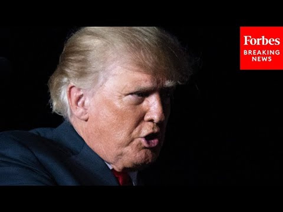 'It's Just Not Sustainable': Donald Trump Discusses Illegal Immigration Into The United States