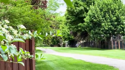 Tour Northeast Boise | Templeton Real Estate Group