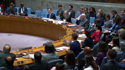 Gazakrieg: UN-Sicherheitsrat einigt sich auf Plan für Waffenruhe