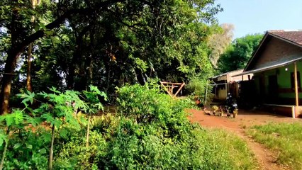 Kuasa Hukum Kirim Surat Penolakan Pemeriksaan Terkait Pemeriksaan Psikologi Ibunda Pegi di Polda Jabar