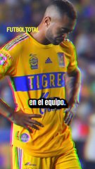 ¿Merecían irse de Tigres? Éstas son las bajas felinas para el Apertura 2024