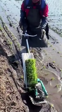 Small Machines That Make Work Agribusiness Easier #shorts #shortvideo #video #virals #videoviral #innovationhub