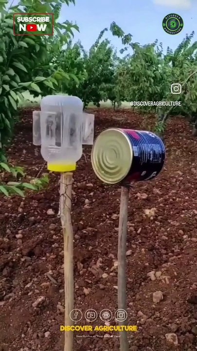Single Use Plastics For A Sustainable Future #shorts #shortvideo #video #virals #videoviral #innovationhub