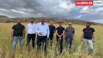 CHP Milletvekili Gürer: Buğday alım fiyatı revize edilmeli