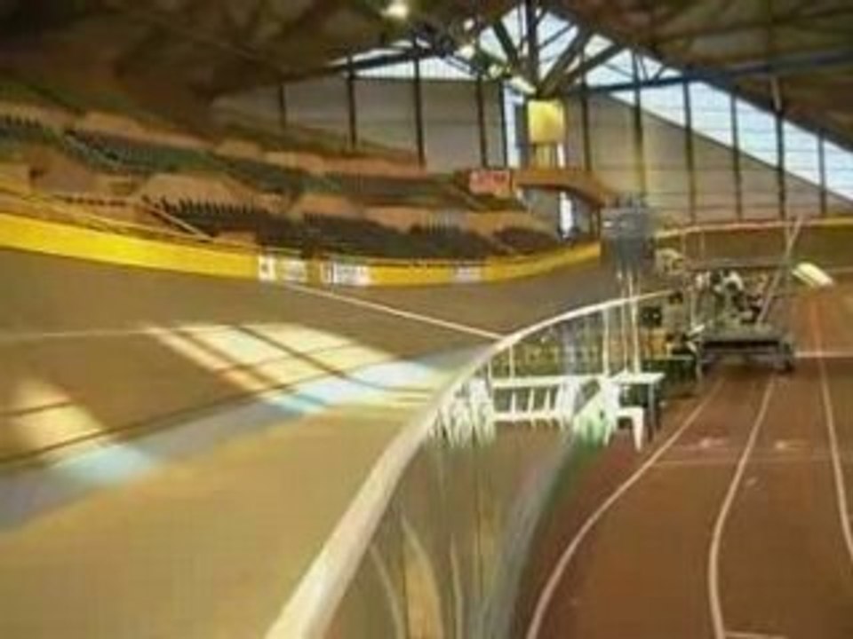 Chevreuils en piste