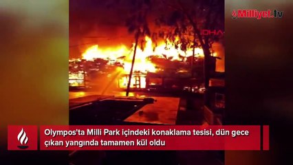 Olimpos'ta büyük yangın: Kadir'in Ağaç Evleri yandı