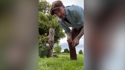 David Beckham tries hand at gardening as fans brand him ‘Golden Retriever’
