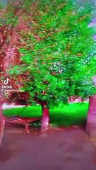 Rainy weather ☁️️