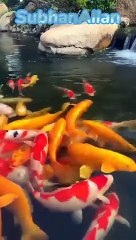 Islamic video@allah ke naam ke