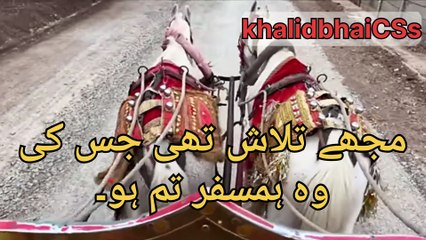 Mujhe tlash thi jis ki | مجھے تلاش تھی جس کی وہ ہمسفر تم ہو۔ @khalidbhaiCSs