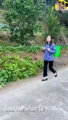 मुर्गी_चोर__#shorts(360p)