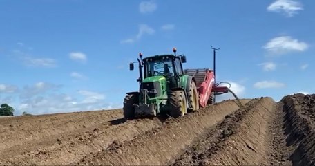 AB Potatoes working in the fields at Glasker, Co Down last week