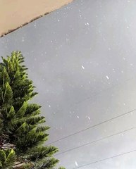 Nature that  attracts me