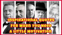 Inspirational Quotes for When You Need a Little Motivation | Motivational Success Quotes | Quotation