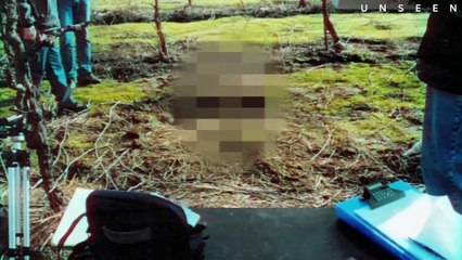 Killer Mom Thinks She Got Away Until Teen Daughter Turns Her In - The Case of Haylei Jordan