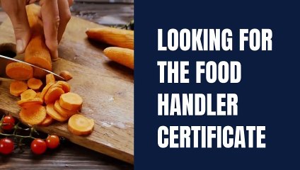 Looking For The Food Handler Certification