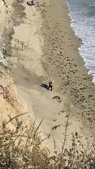 Praticante de kitesurf escreve "Ajuda" com pedras na areia e é resgatado