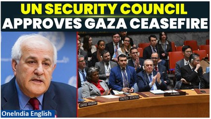 Gaza Cease-fire: Palestinian Envoy Riyad Mansour Welcomes UN Resolution, Slams Israel for Rejecting