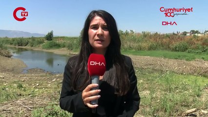 Büyük Menderes'in bir bölümü kurudu; kirlilik arttı