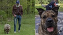 En phase terminale de son cancer, cet homme n'a plus qu'un seul souhait : trouver une famille pour son chien