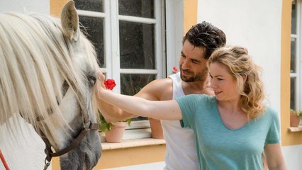 Coup de foudre en Andalousie