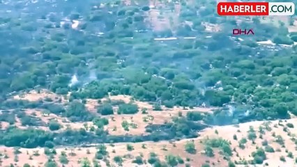 Gaziantep'te fıstık ve zeytin bahçelerinde yangın