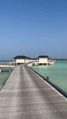 beautiful  Japanese  Bach view