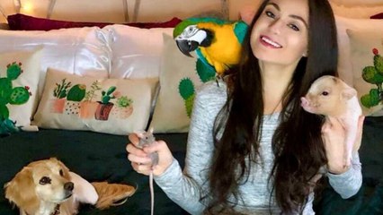 "I share my 200-acre home with 175 animals and spent $100k looking after them"