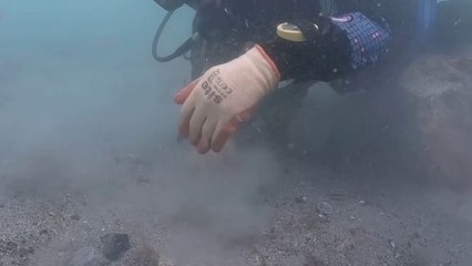 Medieval grave slabs recovered from historic shipwreck