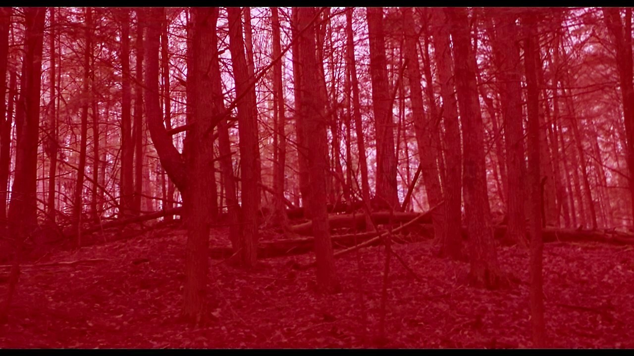ANTIDOTE   The Cure is The Curse   Horror Post-Apocalyptic Thriller   Free Full Movie