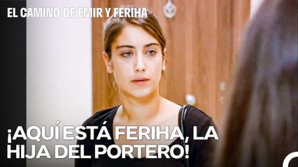 ¡Nuestros Sueños de Hacernos Ricos Han Caído al Agua! - El Camino de Emir y Feriha