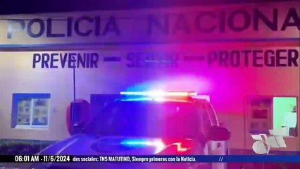 Perros encuentran feto en caja de cartón en Islas de la Bahía