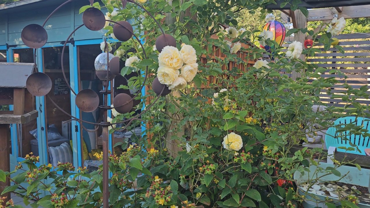 Bristol World Discuss: What is on in the city of bristol this week?