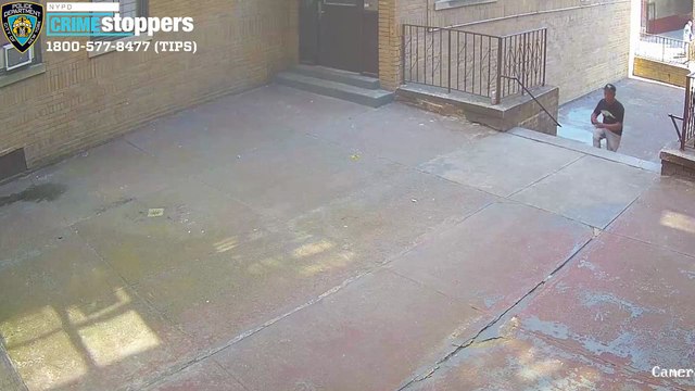 Police ID moped rider in attempted rape of woman choked, dragged on Bronx street