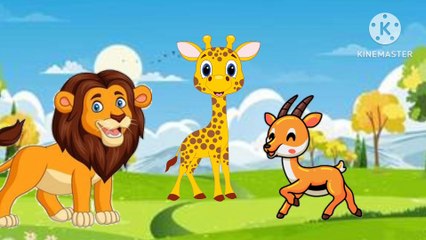 km_20240609_1080p_24f_20240610_202822