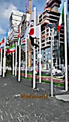 Chad Guys | Israel Flag | Free Palestine