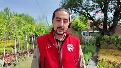 Dünyanın en zehirli yılanı Bolu'da ortaya çıktı