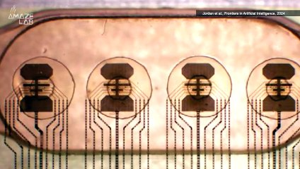 Revolutionary Biocomputer: Neural Network of 16 Tiny Human Mini-Brains 🧠