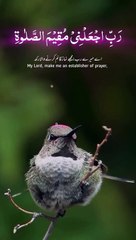 VID-20240611-WA0015