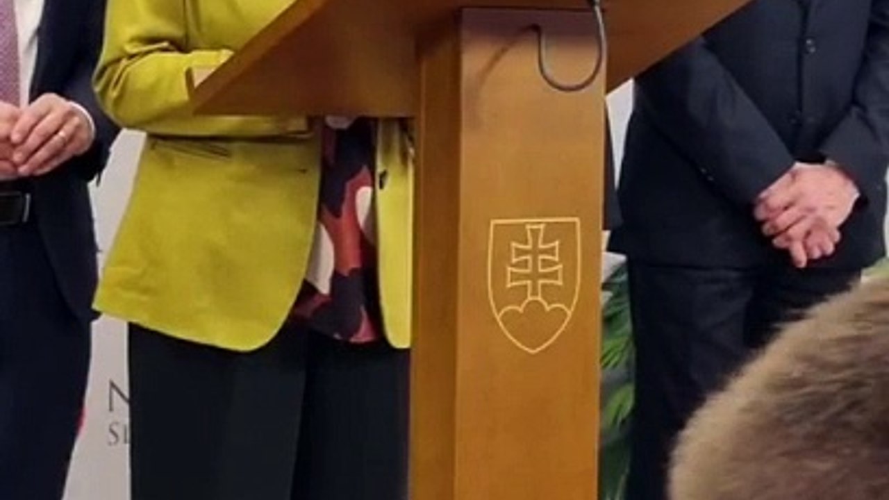 záznam: SaS nevylučuje, že opozícia navrhne vlastného kandidáta na predsedu NRSR