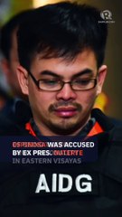 Leyte court clears Kerwin Espinosa of drug charge