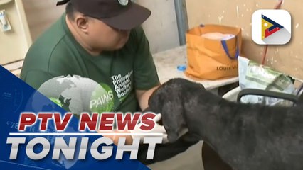 PAOCC invited PAWS to check condition of animals left inside compound;