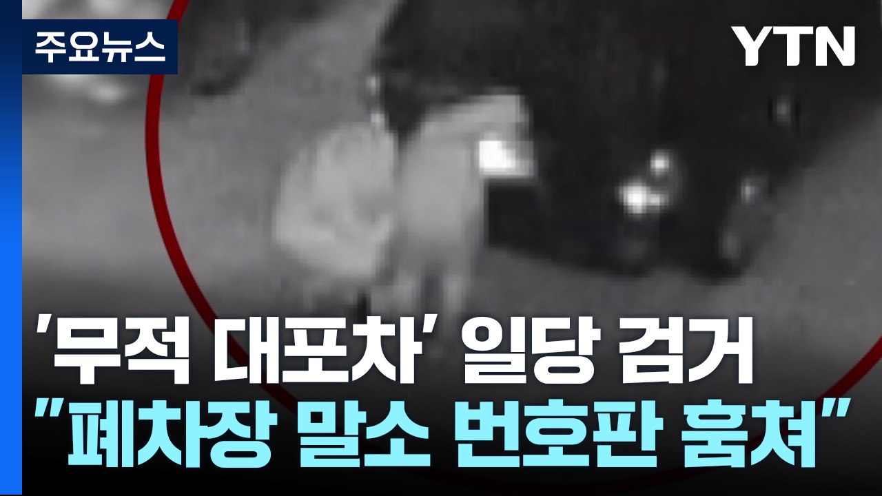 조회 안 되는 '무적 대포차' 만들어 팔아..."폐차장 말소 번호판 훔쳐" / YTN