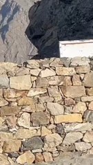 Organic Village, truly a slice of heaven on earth!