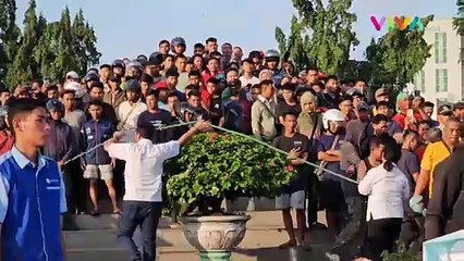 Video Karyawan BUMN di Medan Tewas Tertimpa Kontainer