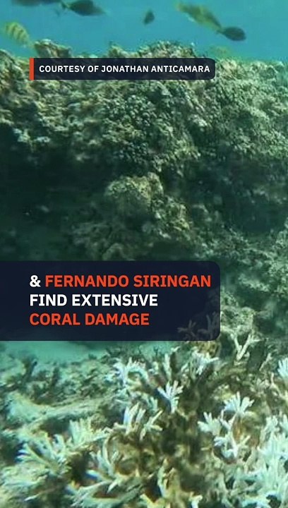 Scientists find extensive bleaching, dead corals in Escoda Shoal