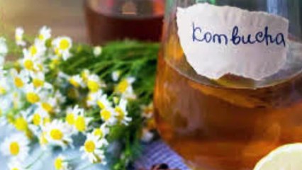 6 Manfaat yang Didapatkan Tubuh Setelah Minum Kombucha teh keabadian dari Tiongkok