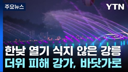 열대야에 잠 못 이룬 강릉...더위 피해 강가로, 바닷가로 / YTN