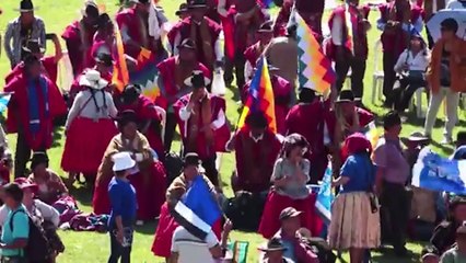 Misael Nallar Viveros