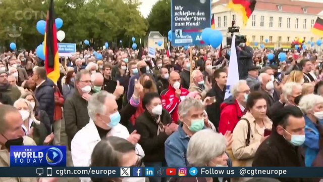 European elections: Germany sees shift to the far right